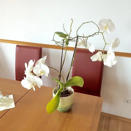 Ambert Hotel Berlin